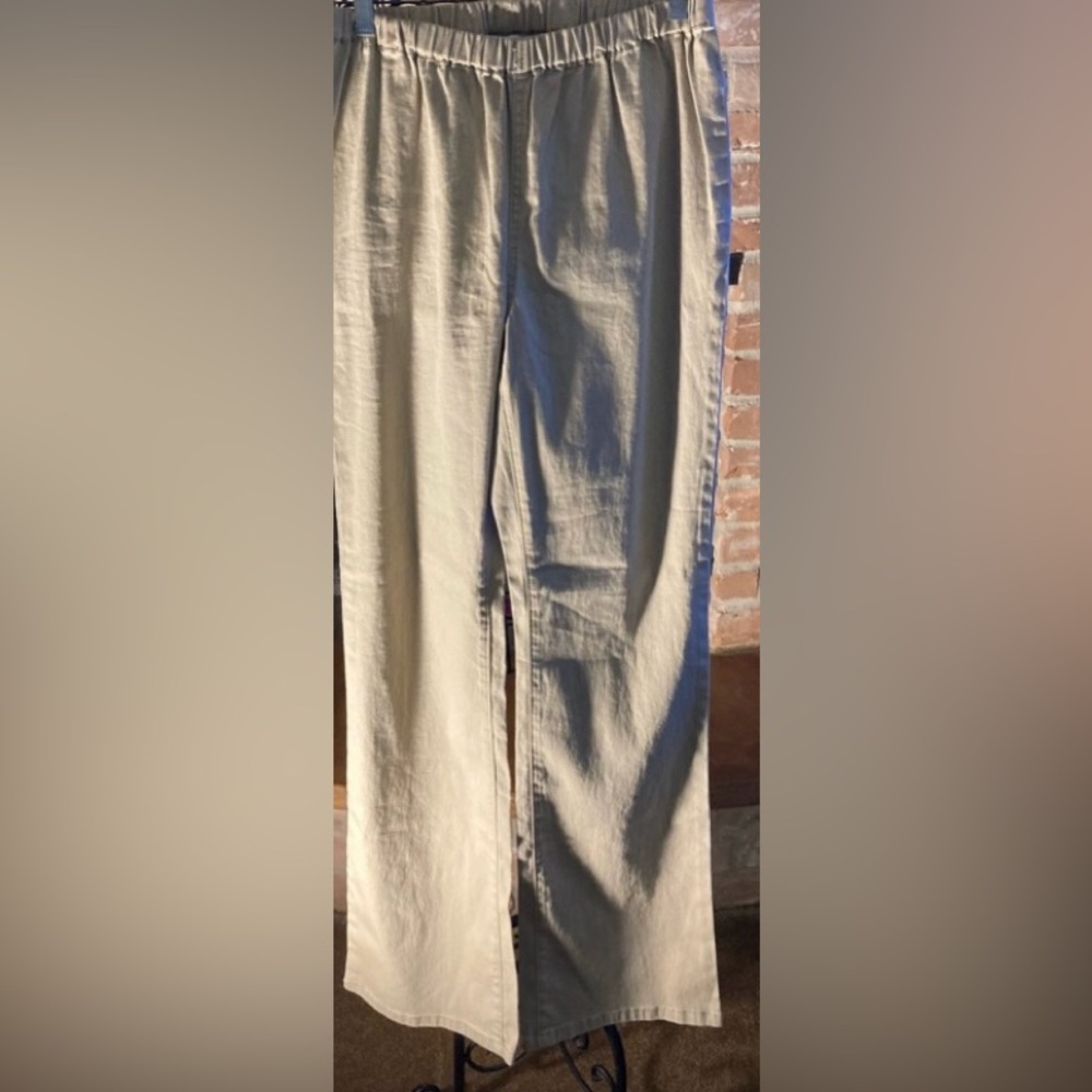 DG2 by Diane Gilman Tan Pants
